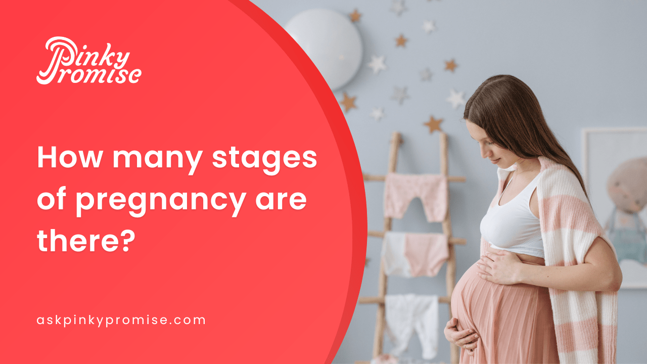 10 Exciting Stages of Pregnancy Month by Month