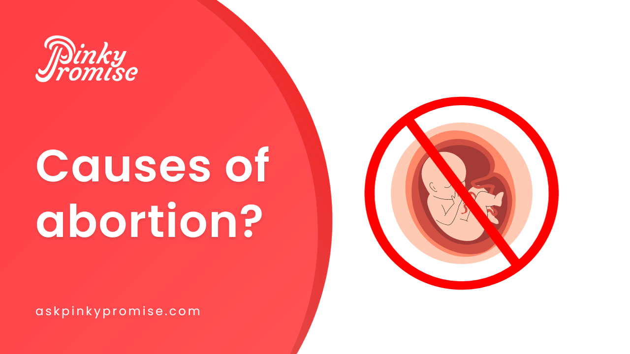 essay on causes of abortion